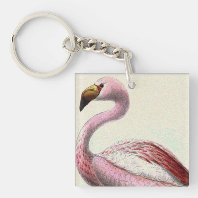 Rosa Flamingo (Framsidan)