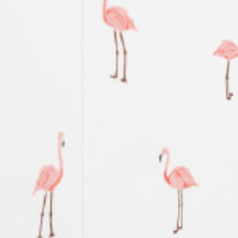 Rosa Flamingo