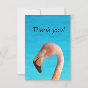 Rosa flamingo ansikte mot blå vatten på en sida tack kort