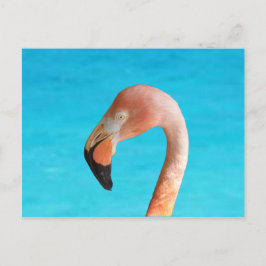 Rosa flamingo ansikte mot blå vatten på helg vykort