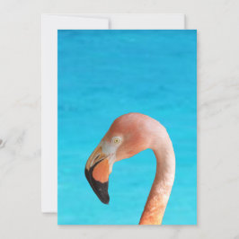 Rosa flamingo ansikte mot blå vatten på inbjudningar
