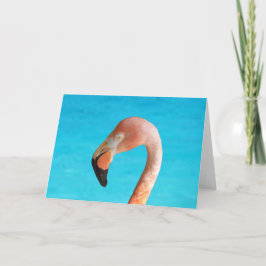 Rosa flamingo ansikte mot blå vatten på kort