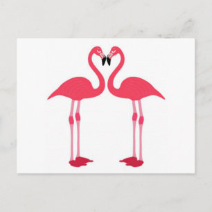 Rosa flamingo-bird-kärlek-eart vykort