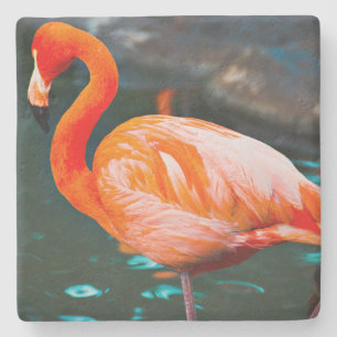 Rosa Flamingo Bird Photo BeSnygg modern Modern Underlägg Sten