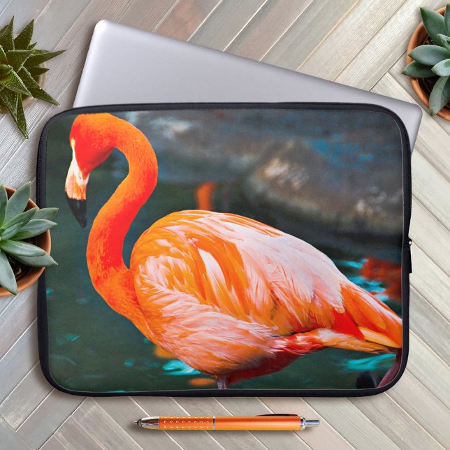 Rosa Flamingo Bird Photography Vacker Modern Laptop Sleeve (Skapare uppladdad)