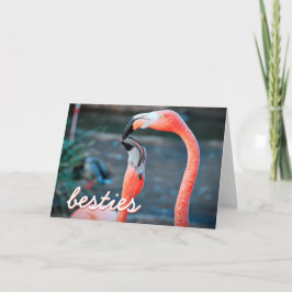 Rosa Flamingo Birds Photo Besties Script Snyggt Kort