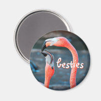 Rosa Flamingo Birds Photo Besties Script Snyggt
