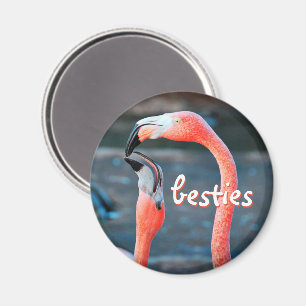 Rosa Flamingo Birds Photo Besties Script Snyggt Magnet
