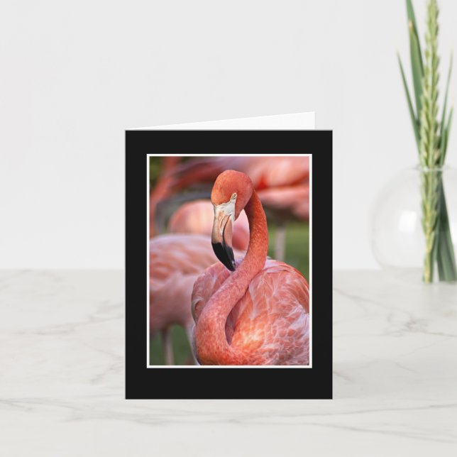 Rosa Flamingo Blanka anteckningskort (Framsida)