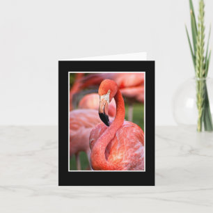 Rosa Flamingo Blanka anteckningskort