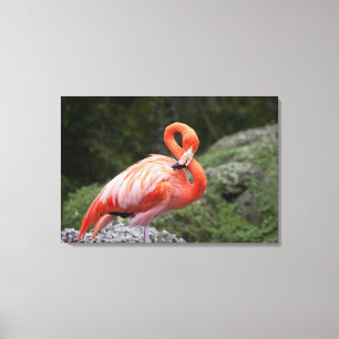Rosa Flamingo Canvastryck
