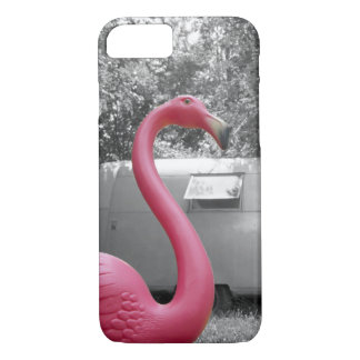 Rosa Flamingo