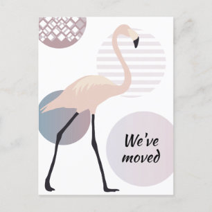Rosa Flamingo Chic Konstnärliga Cirklar Ny Adress Meddelande Vykort
