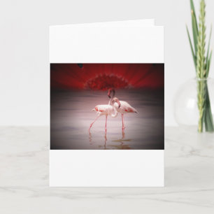 Rosa Flamingo Dance Helgkort
