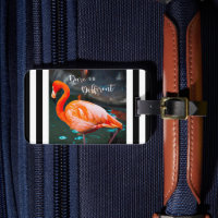 Rosa Flamingo Dare är en annan Svartvit Rand