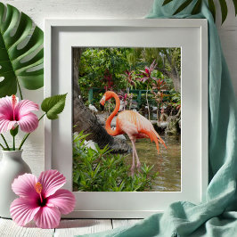 Rosa Flamingo Decor Photography Bonita Vår Poster