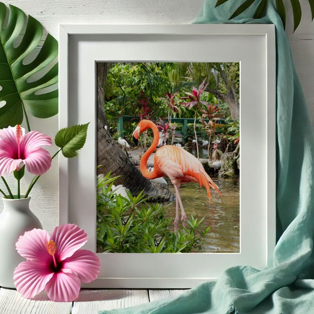 Rosa Flamingo Dekoration Fotografi Bonita Springs Poster (Tropical gifts pink flamingo photography Wonder Gardens Bonita Springs by Victoria Grigaliunas)