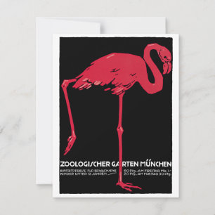 Rosa flamingo fågel på Tyskland München Zoo