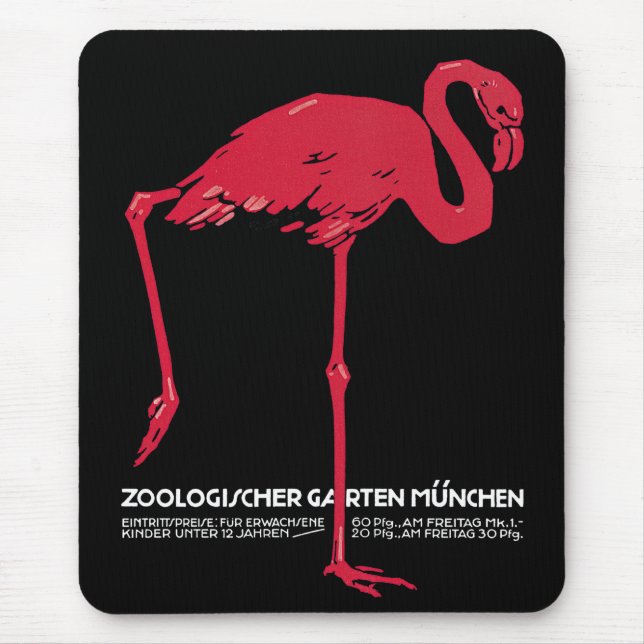 Rosa flamingo fågel på Tyskland München Zoo Musmatta (Framsidan)