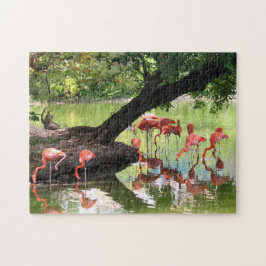 Rosa Flamingo Flock Wildlife Photo Pussel