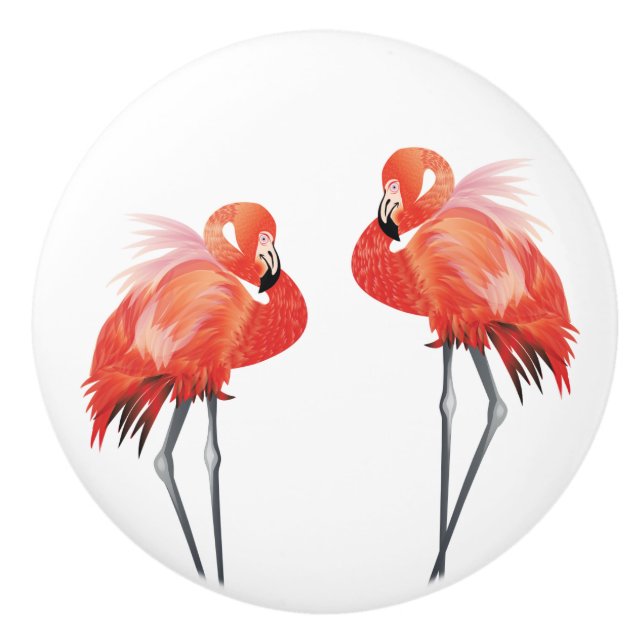 Rosa Flamingo Florida Home Decor Knopp (Framsidan)