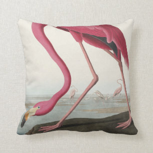 Rosa Flamingo från amerikanska fåglar Kudde