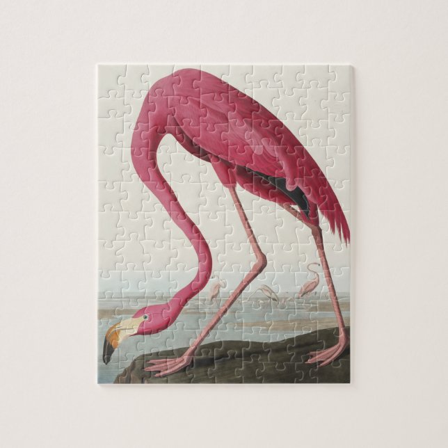 Rosa Flamingo från amerikanska fåglar Pussel (Vertikal)