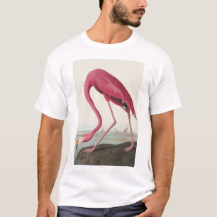 Rosa Flamingo från amerikanska fåglar T Shirt