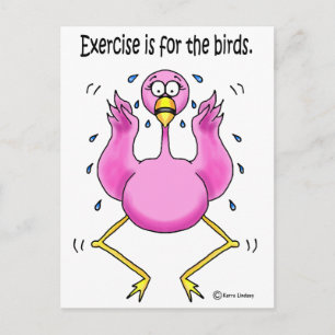 Rosa Flamingo Funny Exercise är för fåglar Vykort