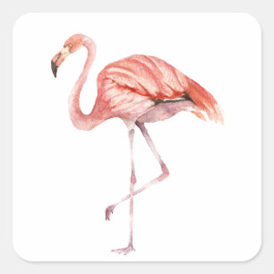 Rosa Flamingo Fyrkantigt Klistermärke