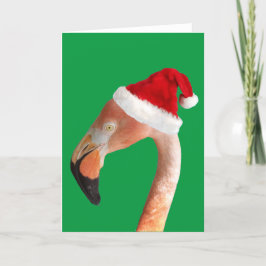 Rosa flamingo i en röd tomteluva Höjdningskort Helgkort