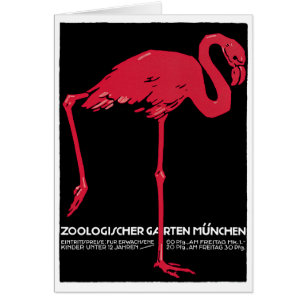 Rosa flamingo i München Zoo i Tyskland Hälsningskort