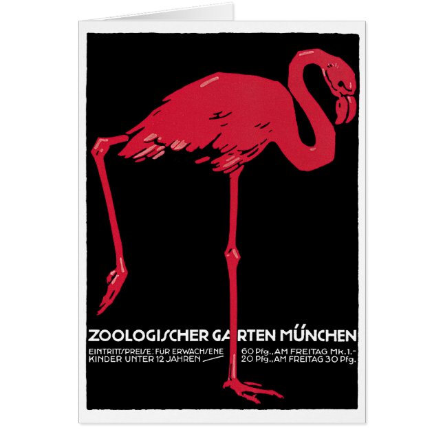 Rosa flamingo i München Zoo i Tyskland Hälsningskort (Framsidan)