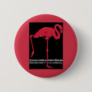 Rosa flamingo i München Zoo i Tyskland Knapp