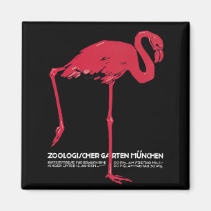 Rosa flamingo i München Zoo Tyskland Magnet