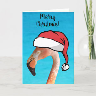 Rosa flamingo i röd seriefigur Santa hatt jul Helgkort