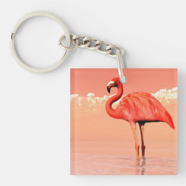 Rosa flamingo i vatten - 3D framför (Framsidan)