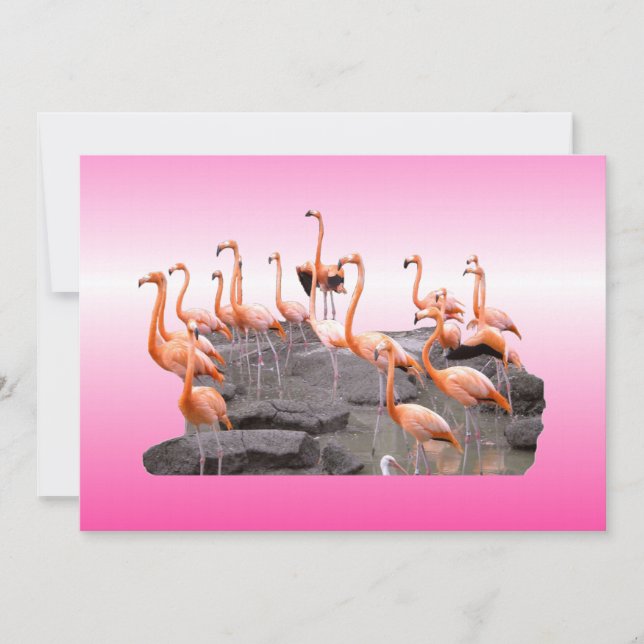 Rosa Flamingo-inbjudan Inbjudningar (Framsida)