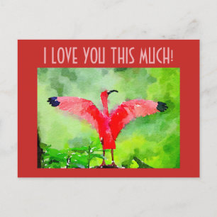 Rosa Flamingo, jag kärlekar dig så mycket! Vykort