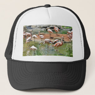 Rosa Flamingo Keps