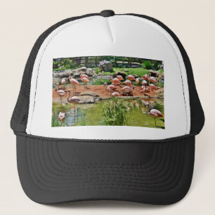 Rosa Flamingo Keps