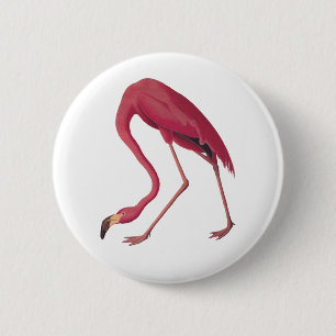 Rosa Flamingo Knapp