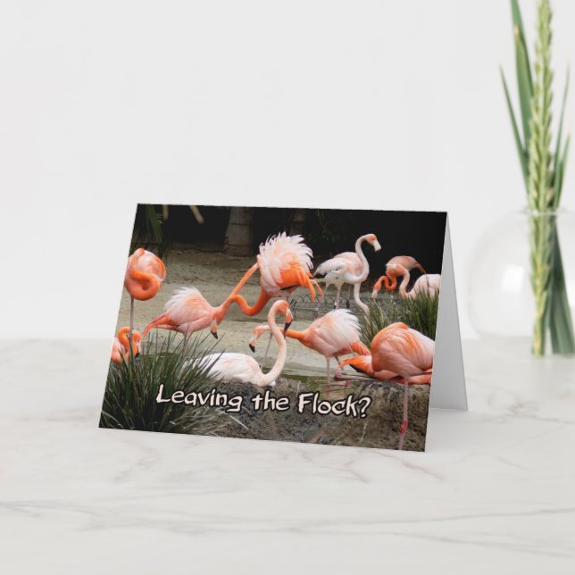 Rosa Flamingo Lämnar Flock Farewell Card Kort (Framsida)