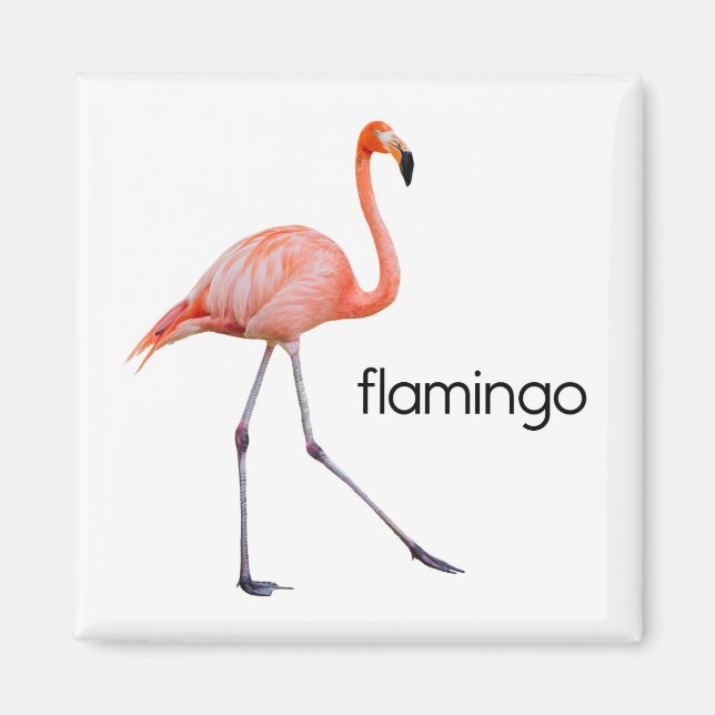 Rosa Flamingo Magnet (Framsidan)