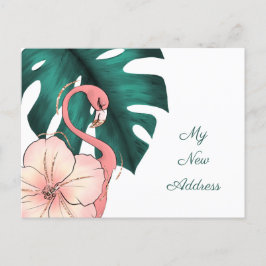 Rosa Flamingo Monstera Löv Flytta till Florida Meddelande Vykort
