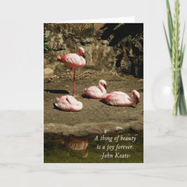 ROSA FLAMINGO NOTE CARDS KORT