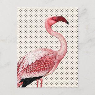 Rosa Flamingo och Vintage Polka dots Vykort