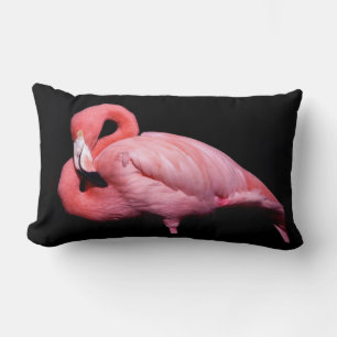 Rosa Flamingo on Black Lumbarkudde