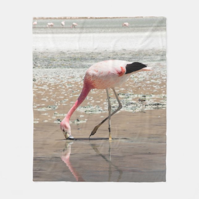 ROSA FLAMINGO PÅ KROPPEN VATTEN FLEECEFILT (Framsidan)