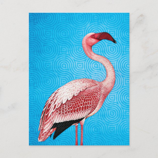 Rosa Flamingo på Retro Blue Mönster Vykort (Framsida)